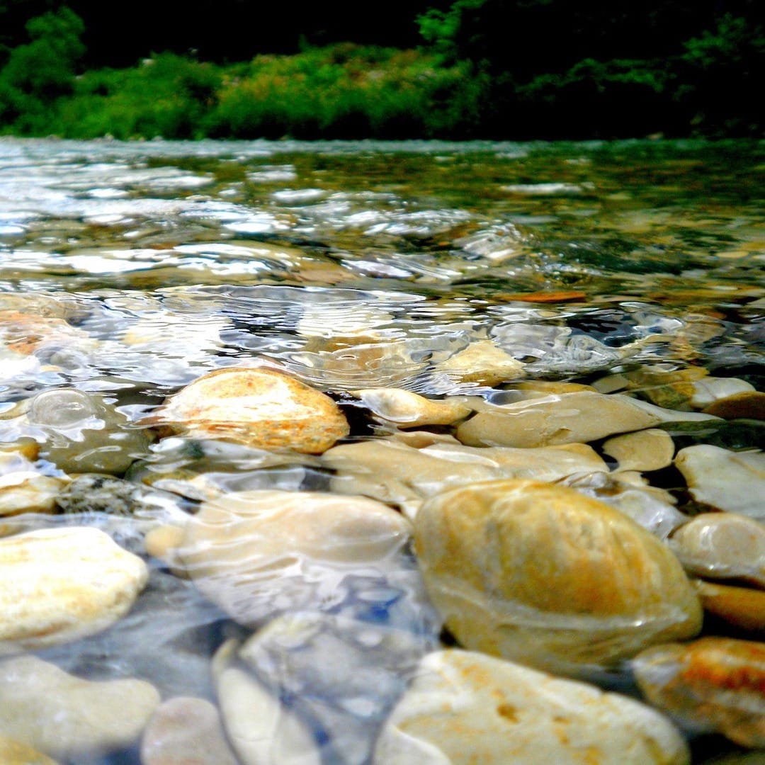 Fly Fishing Reports Taupo Tongariro