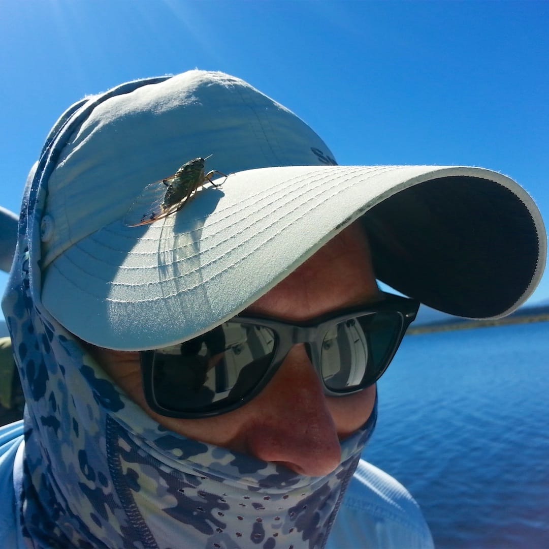 Fly Fishing Reports Taupo Tongariro