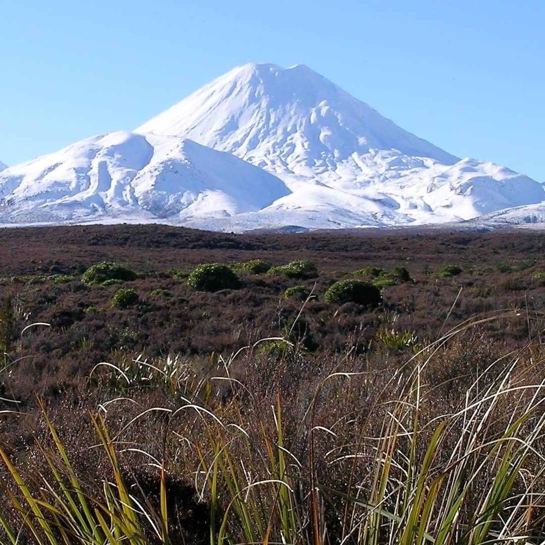 Fly Fishing Spots Taupo Tongariro