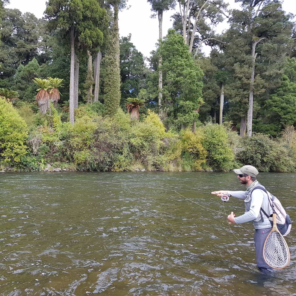Fly Fishing Guide Taupo Rainbow
