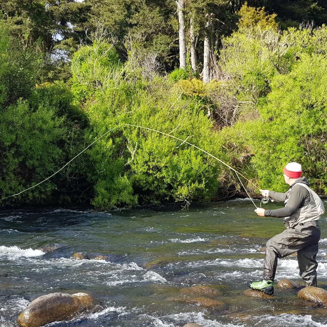 Fly Fishing Reports Taupo Tongariro