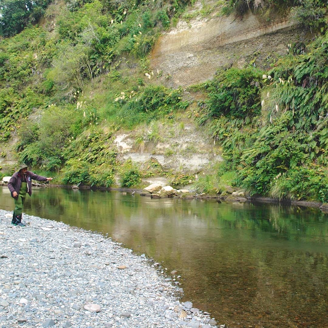 Taupo Fishing Report