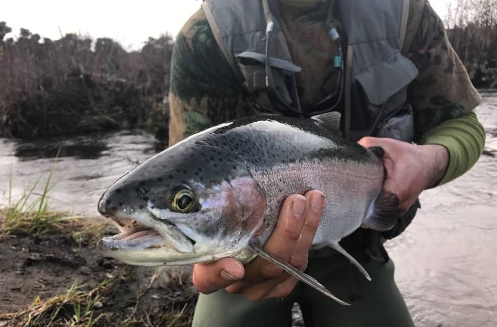 Tauranga-Taupo Fishing | Winter Report