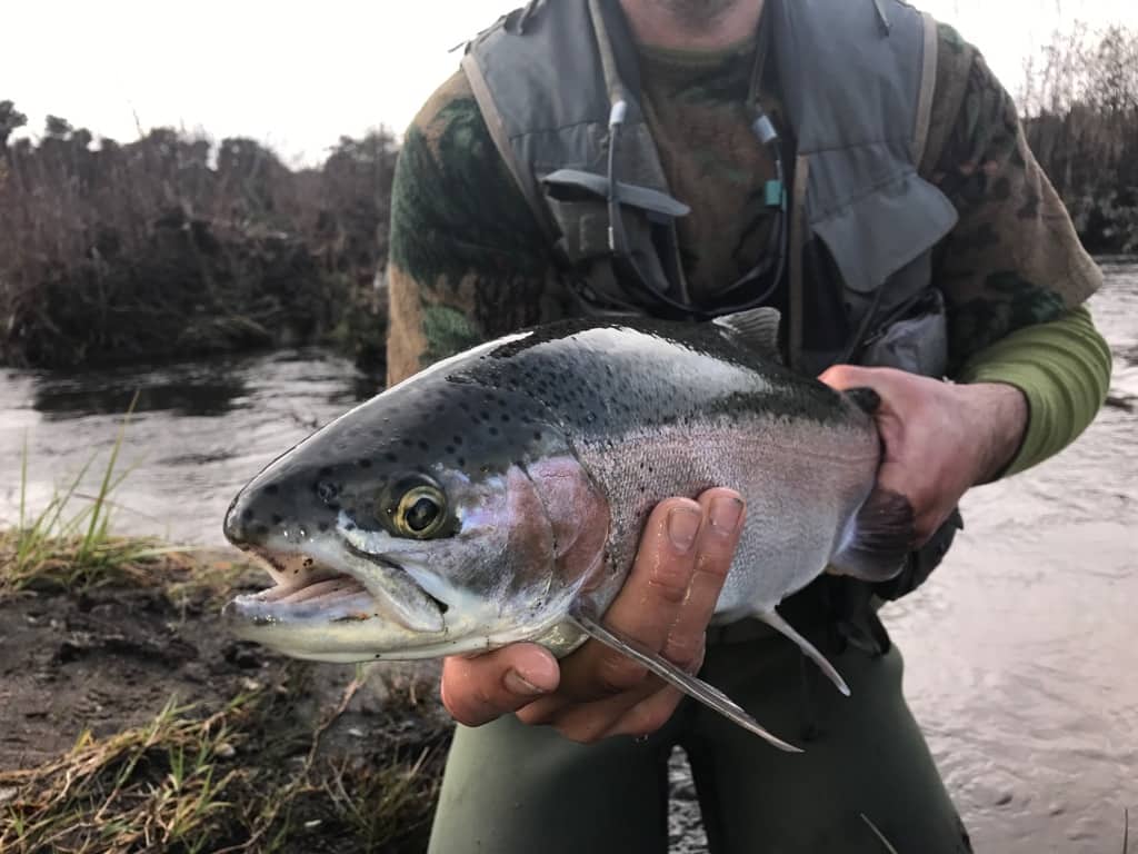 tauranga-taupo-winter-fishing-reports-2 Tauranga Taupo Winter Fishing Report